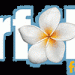 user avatar 14105