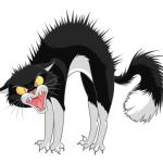 user avatar 109680