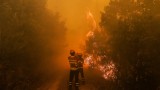 64 жертви и 135 ранени при пожарите в Португалия
