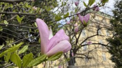 Седмицата започва със слънце