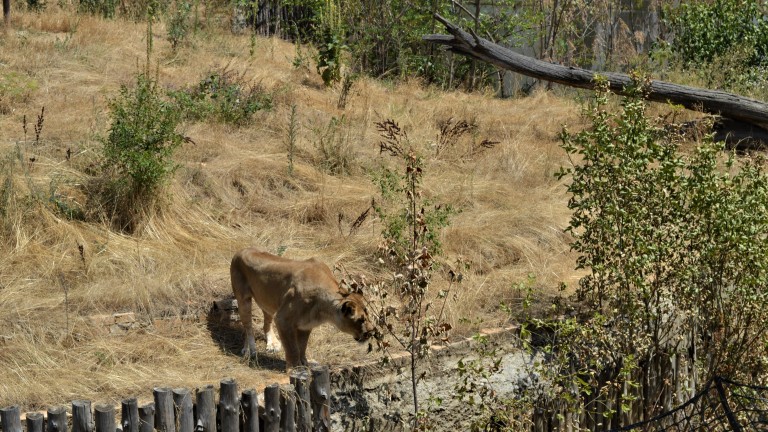 Изображение 540600