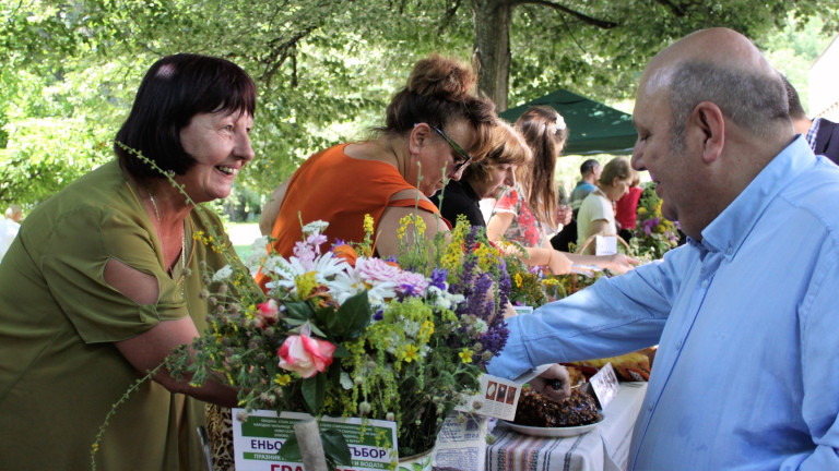 Изображение 300900