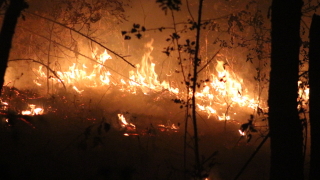 Изгоряха част от сградите на зеленчуковата борса край село Дамяница