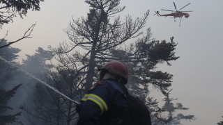Помощ на бедстваща Гърция която се бори с пожари предложи