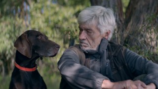 Март месец винаги е особено вълнуващ за киноманите След Оскарите