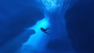 Въпреки че науката напредва с все по бързи темпове а новите