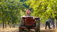 Какво ще правят фермерите? Сериозен ценови спад на селскостопанската продукция в България