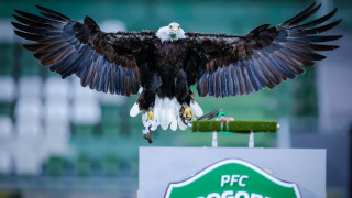 Измина поредния кръг от родното първенство а вместо след него