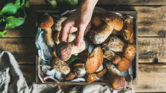 Един неочакван имуностимулатор