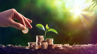 Петият кандидат за първично публично предлагане на акции IPO на