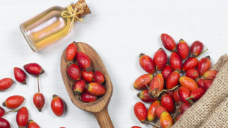 Средата на есента е идеалното време да съберем шипки ако