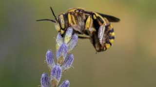 Изменението на климата и нарастването на световното население поставят все