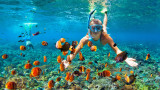  Какво е общото сред коралите и слънцезащитните артикули 