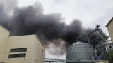 Голям пожар избухна в хранителен завод в Катуница