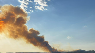 Гори иглолиста гора в землището на Стрелча Сигналът е пожара