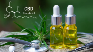 Върховната рада на Украйна гласува с мнозинство от 248 гласа