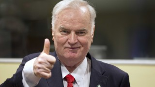 Русия заклейми доживотната присъда на Ратко Младич