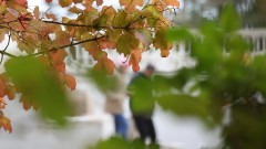 Циганското лято намига в Западна България, но по морето - дъжд
