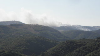 Пожар избухна в Рила под Додов връх съобщава БНТ Сигналът е