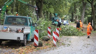 Буря отне живота на един човек в Хамбург