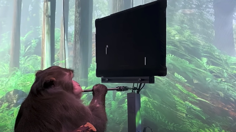 Чипираната маймуна на Neuralink, която играе игри с ума си