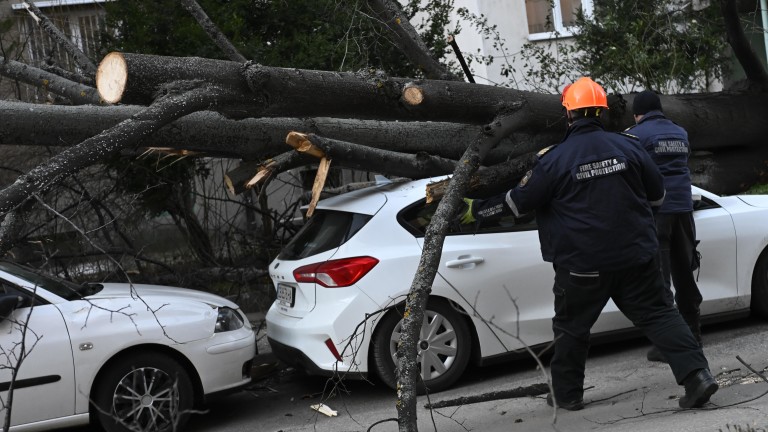 Изображение 746600