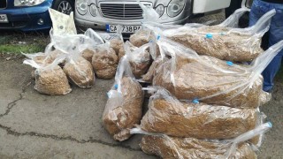 100 кг нелегален тютюн иззеха от лек автомобил в Монтанско