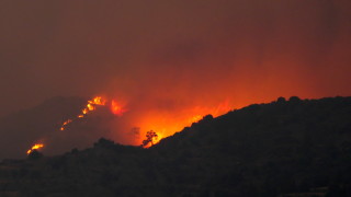 Най разрушителният горски пожар в историята на Кипър който взе четири