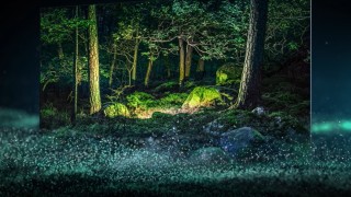 Колкото и да не ни се иска безкрайните слънчеви дни