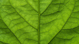 Спокойно може да се каже че употребата на вода с