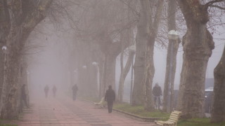 Мъглите се завръщат в Добруджа