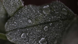 Тази нощ в петък срещу събота над по голямата част от