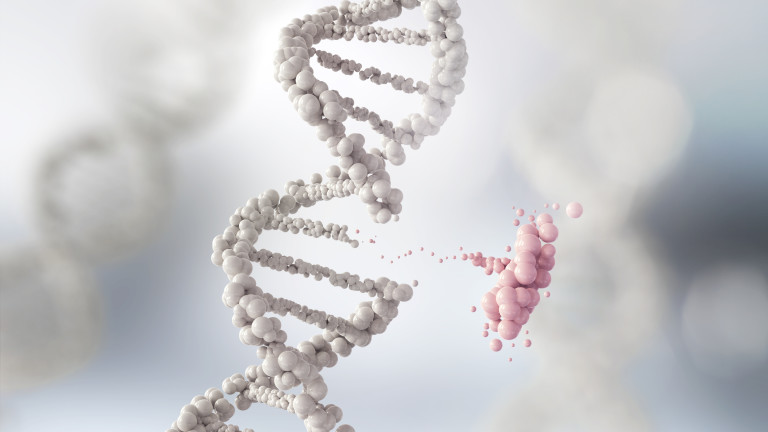 Учени установиха, че тежката форма на COVID-19 e генетично обусловена