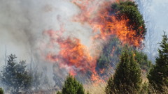 Човешка небрежност причини пожари в птицеферма и гора край Варна