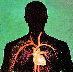  3000 инфаркта повече през 2011-а вещаят лекари 
