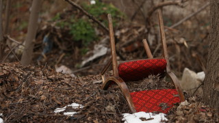 Регионалната инспекция по околната среда и водите РИОСВ София е