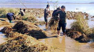 120 жертви на наводненията в Северен Виетнам