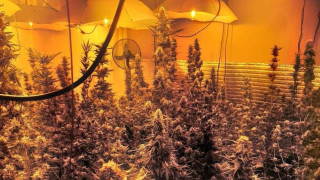 Служители на ГД Борба с организираната престъпност задържаха двама мъже