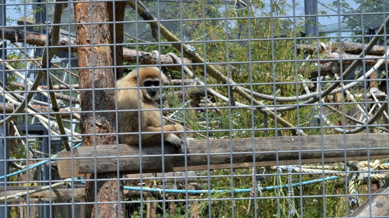 Зоопаркът в Шумен получи петгодишен лиценз от Министерството на околната