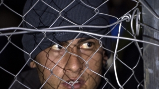 Холандия разкри 30 военнопрестъпници сред бежанците в страната 