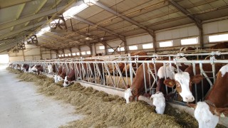 Европейската комисия одобри българска схема за около 109 млн евро