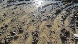 Служители на Противодействие на икономическата престъпност ОДМВР Ловеч РУ Ловеч ТДНС Ловеч