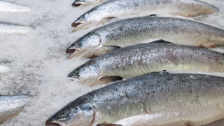 Приходите от износ на селскостопанска продукция от Русия за 2023