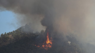 Повече от 100 горски пожара са погасени в Турция в последните