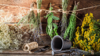 Билките са едни от най лесните за отглеждане растения които можем