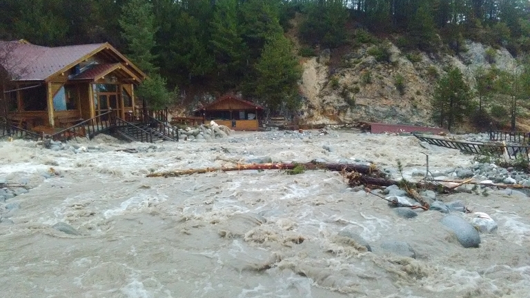 Изображение 261801