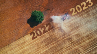 Това е единствената селскостопанска продукция, която поевтинява през 2022 година
