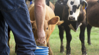 Представител на Световната здравна организация СЗО днес съобщи за съществуващ