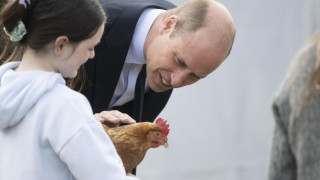 Интересът към семейството на принца и принцесата на Уелс винаги