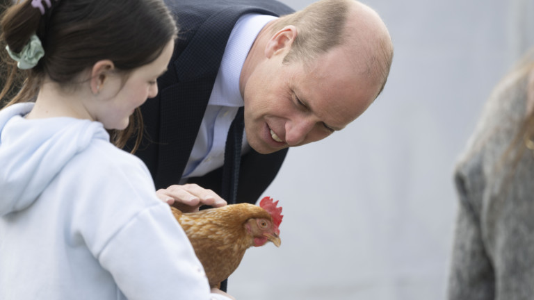 Изображение 662801